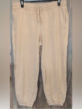 Aerie Big Chill Joggers XL